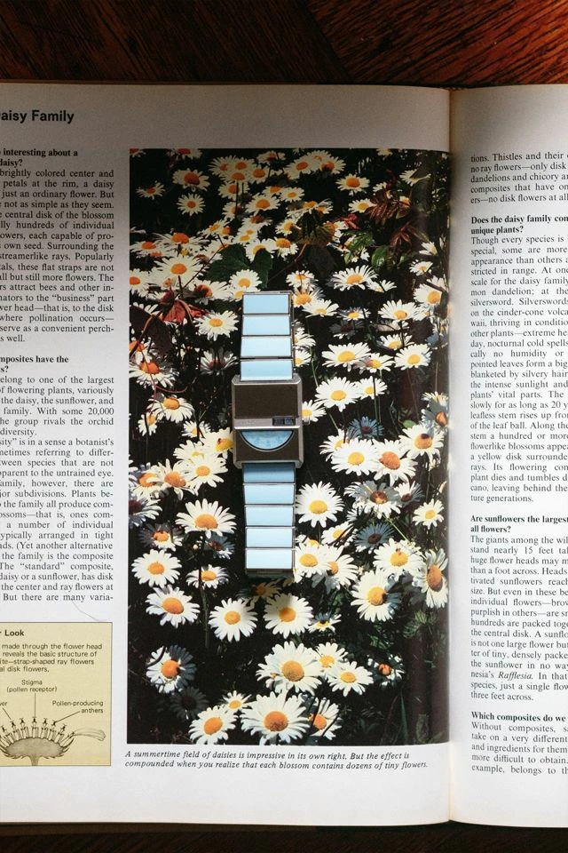 Best Pirce 🎉 BREDA Pulse Tandem Metal Bracelet ⌚ Watch Sky 👏